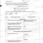 Выписка из ЕГРЮЛ и ЕГРИП